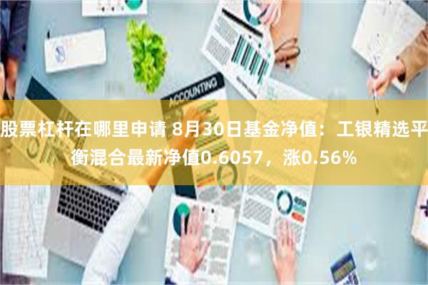 股票杠杆在哪里申请 8月30日基金净值：工银精选平衡混合最新净值0.6057，涨0.56%